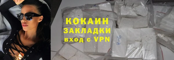 дживик Белокуриха