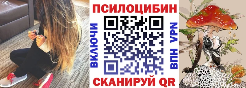 Псилоцибиновые грибы MAGIC MUSHROOMS  закладка  Верхняя Салда 